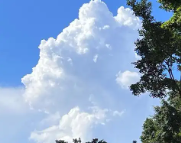 南山天气预报,南山7天天气预报,南山15天天气预报,南山天气查询